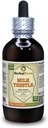 Milk Thistle (Silybum Marianum) Tincture, Organic Dried Seeds Liquid Extract (Brand Name: HerbalTerra, Proudly Made in USA) 4 fl.oz (120 ml)