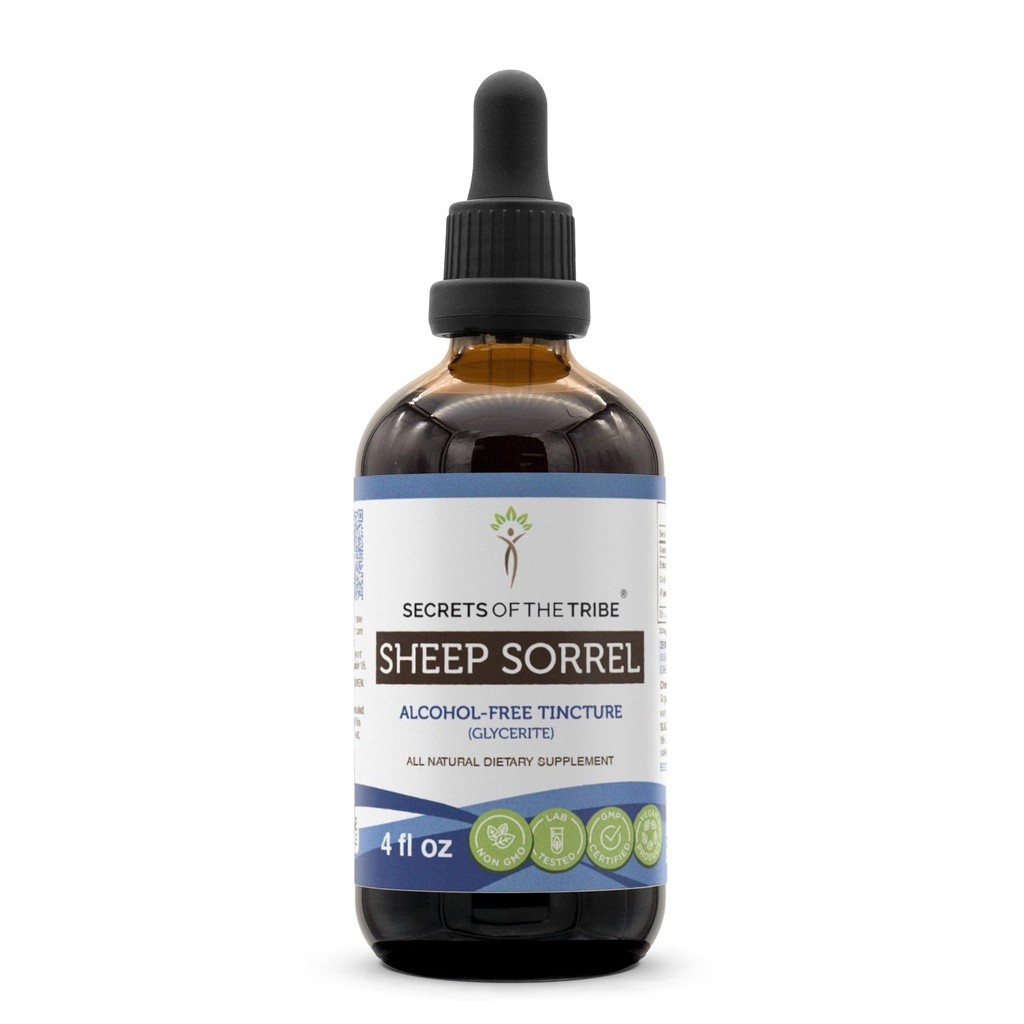 Sombra de oveja Tintura Extracto sin alcohol, Sombra de oveja (Rumex Acetosella) Herb seco 4 oz