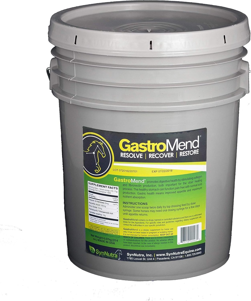 SynNutra GastroMend (GastroMend - 600 dosis Bucket) 100% Natural