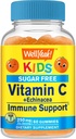 WellSí Echinacea (5 mg) con Vitamina C (250 mg) Azúcar Gummies gratis para niños sometidosInmune Support Suplemento tóxico Orange Flavor tóxico 60 Con