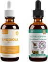Rejuvica Health Active Rhodiola + Active Adrenal - Support Energy + Stress - Envío líquido para una mejor absorción - Rhodiola, Ashwagandha, Holy Basil &amp; Más!
