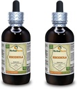 Rhodiola (Rhodiola Rosea) Tincture, Organic Dried Roots Liquid Extract (Brand Name: HerbalTerra, Proudly Made in USA) 2x4 fl.oz (2x120 ml)