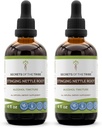 Secretos de la tribu Stinging Nettle Root Tincture Extracto de alcohol, gotas herbales de alta potencia, Tintura Hecha de Stinginging Nettle Urtica Dioica Respiratory and Urinary System Health 2x4 oz