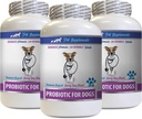 Dog Gut Health - PROBIOTICS for Dogs - Healthy Gut - Stop Gas Diarrhea and Bad Breath - Digestive Boost - probiotic Gut Health - 3 Bottles (180 Treats)
