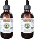 Extracto líquido libre de alcohol de canela, canela (Cinnamomum Verum) Barco seco Glycerite Hawaii Pharm Natural Herbal Suplemento 2x4 oz