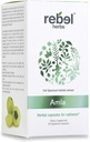 Rebel Herbs Amla Capsules (Amalaki) - Immune Support, Vegan, Gluten-Free, Ayurvedic, Antioxidante, Certified Organic Amla