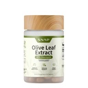Snap Supplements Olive Leaf Extract Capsules - Super Strength 40% Oleuropein for Blood Flow Support, Mejorar la digestión, Antioxidante Boost, Suplemento Mejorar la función cerebral (60 cápsulas)