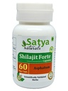 Genérico O r g a n i c cápsula Shilajit 60 Serviciones por botella 500mg ayurvédico no ingredientes artificiales incluidos (paquete único)