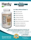 Macro Mineral Boost - High Intensity Calcium Supplement for Bone & Teeth Health with Vitamin C, D, K, Calcium, Phosphorus, and Magnesium, Ultra Absorbable