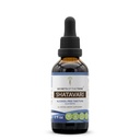 Secretos de la tribu Shatavari Extracto líquido libre de alcohol, Shatavari (Asparagus Racemosus) Root seco (2 FL OZ)