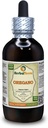 Oregano (Origanum Vulgare) Tintura, hojas secas orgánicas Extracto líquido (Marca: HerbalTerra, Proudly Made in USA) 4 fl.oz (120 ml)