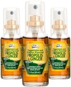 Beelife Propolis Throat Spray – Soothing Honey & Ginger Propolis Spray- Natural Immune Support " Bee Propolis Extract-Antioxidants, Rich in Flavonoids " Artepillin, No Sugar, Gluten-Free- 3-Pack, 90ml