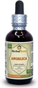 Chino Angelica (Angelica archangelica) Tintura, Extracto líquido de raíz seco orgánico (Marca: HerbalTerra, Proudly Made in USA) 2 fl.oz (60 ml)