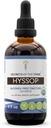 Hyssop USDA Organic | Alcohol-Free Extract, High-Potency Herbal Drops | Made from 100% Certified Organic Hyssop (Hyssopus officinalis) Dried Herb (4 oz)