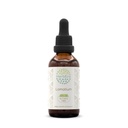 HerbEra Lomatium B60 Extracto herbal libre de alcohol Tintura, gotas líquidas concentradas Lomatium natural (Lomatium Dissectum) 2 fl oz