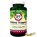 Silver Lining 37 Canine Kidney Support - Herbal Dog Supplement - Natural Support Blend for Normal Kidney &amp; Bladder Function - 90 cápsulas