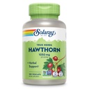 SOLARAY Hawthorn Berry Capsules 1050 mg - Soothing Herbal Support - Hawthorne Berry Supplement for General Wellness Support - Whole Berry, Vegan, Non-GMO, 60 Day Guarantee, 90 Servings, 180 VegCaps