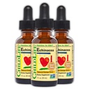 CHILDLIFE ESSENTIALS Echinacea for Kids, Orange, 1 Fl Oz (Pack of 3) | Kids Echinacea Drops, Vitamin Tincture, Alcohol Free Supplement, Babies, Toddlers, Children, Natural Orange Flavor