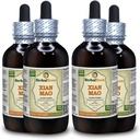 Xian Mao, Curculigo (Curculigo Orchioides) Tincture, Orgánica Root Powder Liquid Extract (Marca: HerbalTerra, Proudly Made in USA) 4x4 fl.oz (4x120 ml)