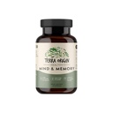 TERRA ORIGIN Healthy Mind and Memory Support Suplemento ← Memoria Cognitive Matrix  CDP Nootropic, Bacopa, L-Tyrosine, Huperzine A, Ginko, B12 ← No GMO, Gluten Free, Dairy Free ← 30 Capsules