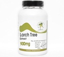 Árbol de antorchas Extracto 900 mg Arabinogalactan (AG) ~ 90 cápsulas - No aditivos