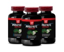 Saw Palmetto for Prostate Health - Prostate Support - Pygeum Bark for Prostate Support, Red Raspberry for Wellness, Graviola Leaf for Cellular Protection, Green Tea 3 Bottles 180 Capsules