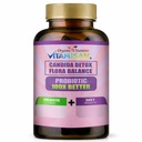 VITAMISAN Flora Balance Probiotic Support 100 Capsules | Digestive & Gut Health Support Supplement for Men & Women | Prebiotic Fiber & Enzyme Blend | Made in USA