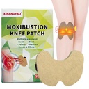 96pcs Moxibustion Heat Patches Neck Shoulder Back Waist Hand Feet Joint Mugwort Self-Heating Traditional Therapy for Moxa Relaxation & Warmth 5.3X3.9inch