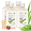 AloeCure USDA Organic Aloe Vera Juice Grape Flavor, Made Within 12 Hours of Harvest - Pure Aloe Vera Digestive &amp; Immune Health Supplement, Helps Maintain Balanced Stomach Acidity, 16.7oz x 4 Btls