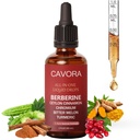 Cavora Ceylon Cinnamon Berberine Liquid Drops - with Bitter Melon Extract, Turmeric, Chromium, Gymnema, Organic Panax Ginseng & Moringa - Vegan, Non-GMO - 2 Fl Oz (60 ML) (1pc)