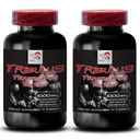 Energy Flow Support - TRIBULUS TERRESTRIS EXTRACT - Strength Recovery Formula, Muscle Strength Booster, Dynamic Body Power, Stamina Enhancement, Active Energy Recharge, Physical 2 Bottles 180 Tablets