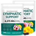 2 Pack Herbal Lymphatic Drainage Supplement - 4275mg Cleanse with Echinacea, Dandelion, Burdock Root, Supports Healthy Circulation, Fluid Balance & Overall Wellness,480 Softgels
