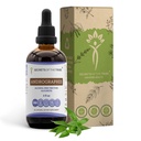 Secrets of the Tribe Andrographis Alcohol-Free Liquid Extract, Fah talai jone, Chuan Xin Lian, Andrographis paniculata Tincture Supplement (4 FL OZ)