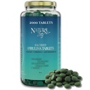 NaturalZing - 100% Pure Organic Spirulina Tablets ← Non-GMO Silencio Daily Greens Silencio Vegan Superfood Protein &amp; Antioxidant Support – Rich in Phycocyanin, Beta Carotene & Iron - 2000 Tablets (16 oz Bulk Pack)