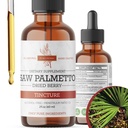 Saw Palmetto Tincture ← Premium Extract herbal libre de alcohol de Saw Palmetto Berries ← Suplemento botánico líquido ← Fórmula herbal tradicional Silencioso Made in USA - 2 oz (60 ml)