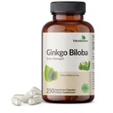 Futurobióticos Ginkgo Biloba Extra Strength soporta Función del cerebro & Memory Support, 250 cápsulas vegetarianas