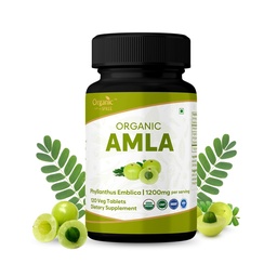 Amla 120 Tabletas – USDA Organic Indian Gooseberry – Rich in Vitamin C &amp; Supports Immune Health*