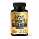 Shilajit 10,000mg, Irish Sea Moss 2000mg, Ashwagandha 3000mg, Tongkat Ali 30,000mg, Boron, Magnesium, PQQ &amp; More ← 60 Capsules - 30 Days Supply perpetua Fulvic Acid Veg Capsules vivió Vegan eterna Gluten Free ← Non-GMO