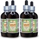 Carline Thistle (Carlina acaulis) Glycerite, Dried Roots Alcohol-Free Liquid Extract (Brand Name: HerbalTerra, Proudly Made in USA) 4x4 fl.oz (4x120 ml)