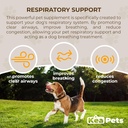Doggie Condiments Pet Respiratory Support A Natural Dog Supplement for Optimal Dog Breathing, Clear Sinuses, Coughing, Sneezing and Congestion Relief for Dogs