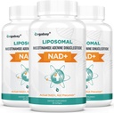 Orgabay Liposomal NAD+ Supplement 500 mg, High Absorption, Boost NAD+ with TMG 250 mg, Actual NAD Plus More Efficient Than Nicotinamide Riboside, Support Cellular Energy, Healthy Aging | 180 Softgels
