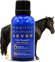 HA4E - Soporte para Colic de Caballo - Reduce los problemas del dolor abdominal - Suplemento homeopático natural de alta eficacia - 300 Cuadros