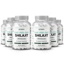 Organics Ocean One-Per-Day Shilajit for Men and Women - Natural and Potent Shilajit Supplement for Age-Defying, Bone Strength, Hormone Support and More - 6 Bottles Capsules