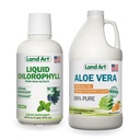 Land Art Aloe Vera Gel Bebible - Tangerine Naranja Sabored - Cold-Processed - Orgánica de hojas frescas - 64floz + Liquid Chlorophyll Mint Flavored - Cold Extracted from Wild Non-GMO Alfalfa - 16floz