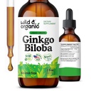 Wild & Organic Ginkgo Biloba Tintura - Cerebro &amp; Focus Soporte con Ginkgo Leaf Suplemento - Vegan, Azúcar &amp; Sin alcohol Extracto Herbal Tintura - 2 fl oz