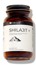 Blisque – Pure Himalayan Orgánica Shilajit Resin Extract Capsules ← Auténtica y Natural ← Dorado Grado A Silencio Contiene Ácido Fulvico y Minerales de Traza