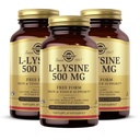 Solgar L-Lysine 500 mg - 100 cápsulas vegetales, Pack of 3 - Skin & Tissue Support - Non-GMO, Vegan, Kosher, Gluten Free - 300 Total Servings