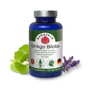 Ginkgo Biloba, Memory, Focus " Brain Function Support, Antioxidant-Rich, Plant-Based, GMP, Herbal Nootropic Vegetarian Capsules, 120 Count (Pack of 1)