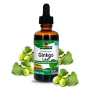 Respuesta de la naturaleza Alcohol Free Ginkgo Biloba Leaf Extract, 2 Ounce, 2 Conde ← Apoyo a un cerebro saludable tóxico promueve la función cognitiva tención Aumentar la claridad mental tóxico Natural Focus Aid