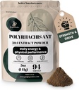 Jungle Powders Black Ant Extract Powder 30:1 Concentration, 94 Servings - 5 Ounces of Pure Polyrhachis Black Ant Supplement, Filler Free Changbai Mountain Ant Traditional Mens Health Support for Drive